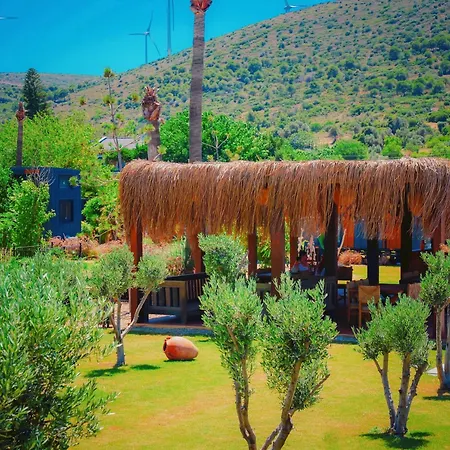 Flu Alaçatı Tiny House