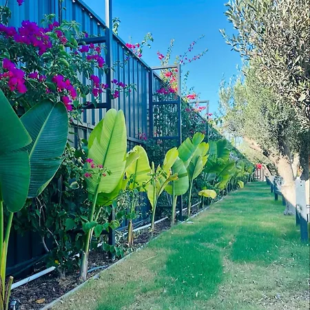 Flu Alaçatı Tiny House Otel *