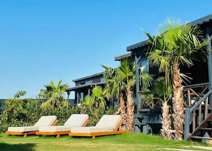 Flu Alacati Tiny House 酒店 *