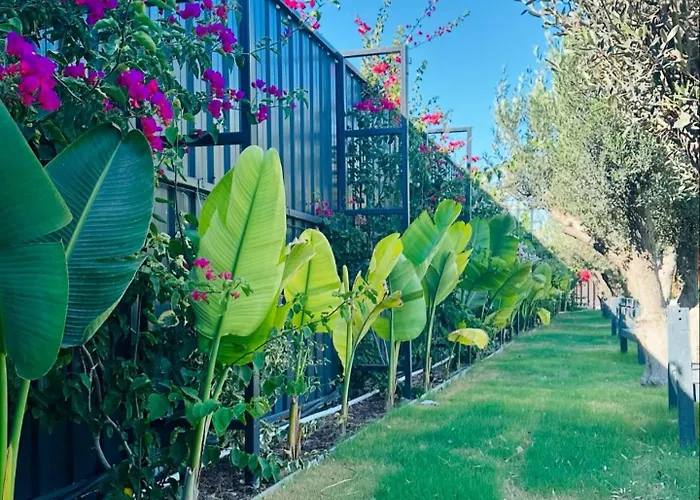 Flu Alacati Tiny House 酒店 *